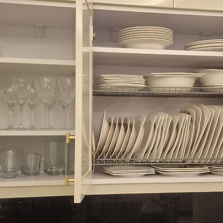 Alexandros 波格拉德茨